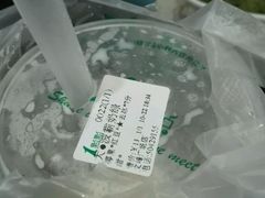 -1点点(文峰广场店)