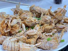 -船奇蒸汽海鲜·闽菜(八市海鲜总店)