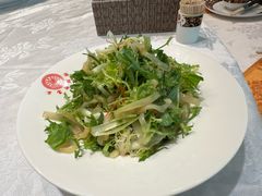 苦菊海蜇-万宝海鲜舫(劳动公园店)