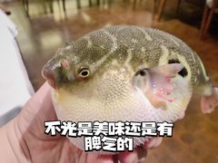 -肆月河豚·新淮扬(金融街店)