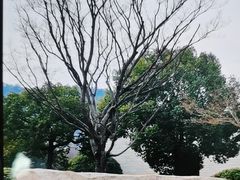 -良渚古城遗址公园