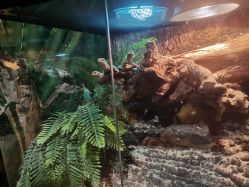 -酷嗒动物文化乐园(cutezoo西溪乐天城店)