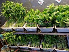 -老妈疙瘩汤·平价海鲜专门店·老威海菜(渔港路店)