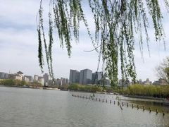 -莲花池公园
