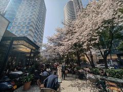 -玛格萝妮比萨屋(四平店)