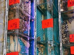 -金海湾海鲜排档(朱家尖店)