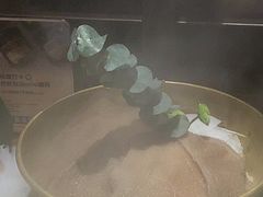 -巴奴毛肚火锅(广益哥伦布店)