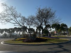 -羊山湖公园