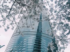 -上海中心大厦