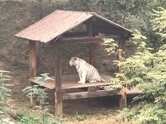 -石家庄市动物园