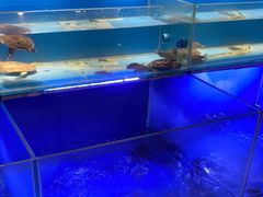 -阿财老铺·凤阳土菜馆