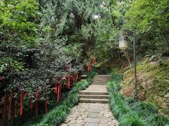 -梦姑塘文化公园