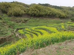 -灵山景区梯田