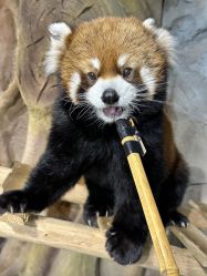 -Zoolung Zoolung动物主题公园(海信广场店)