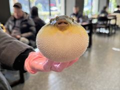 -永安鱼庄·镇江菜(东吴路店)