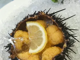海*