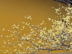 -不晚酒店(苏州观前平江路店)