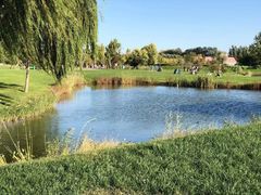 -安德鲁户外烧烤帐篷营地(马泉营店)