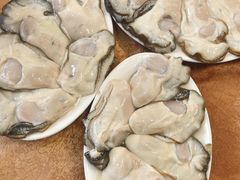 -濠轩阁特色生蚝火锅(水湾路店)