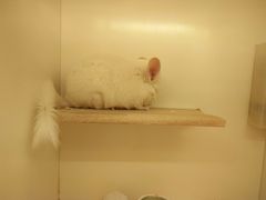 -龙猫仔乐园(惠福东路店)