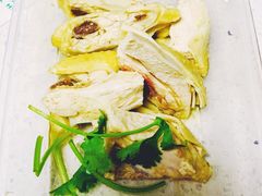 三黄鸡-九斤黄三黄鸡专卖店