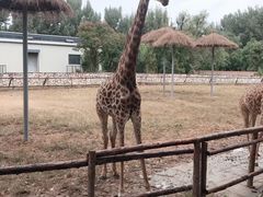 -北京野生动物园