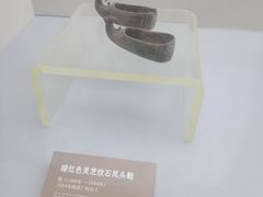 -邹城博物馆