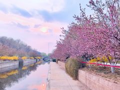 -海棠花溪(元大都城垣遗址公园)