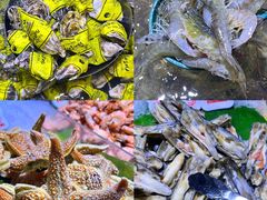 -聚盛源蒸汽海鲜火锅烤肉自助(巨川金海岸购物广场店)