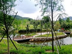 -中山市树木园