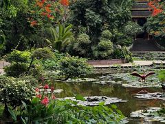 -火咂咂竹筒宴(告庄店)