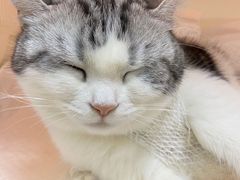 -全心全意连锁动物医院·微创中心·内科急重症·心脏专科(丰管路店)