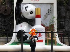 -成都东郊记忆理工大学轻居酒店