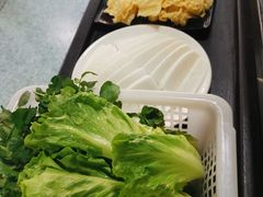 -鸭嘴鱼
