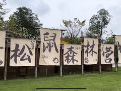 -成都松鼠部落