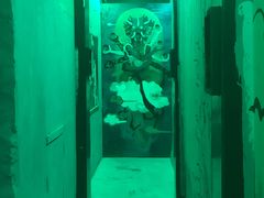 -MOJO密室逃脱(中街旗舰店)