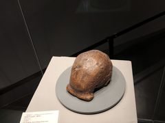 -北京周口店北京人遗址博物馆