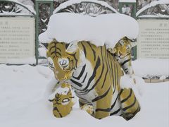 -横道河子东北虎林园