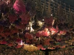 -锦潼西餐厅