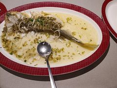 -圆苑(静安寺店)