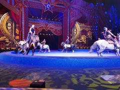 -珠海横琴长隆《卡卡虎奇遇记》