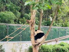 -黔灵山公园