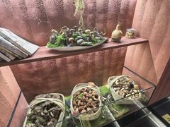 -滇野云南野生菌餐厅(陕西南路店)
