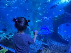 -多彩贵州城极地海洋世界