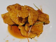 -金狮麟·新豫菜(金码大厦店)