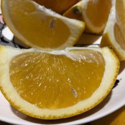 -哈妮儿童摄影(德清店)