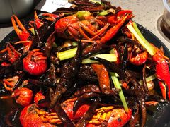 -一棠龙虾(徐家汇城开YOYO店)