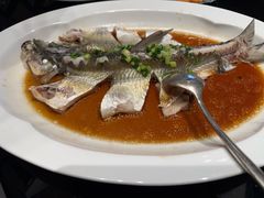 豆豉翘嘴鱼-上海苏宁宝丽嘉酒店·嘉府壹号中餐厅