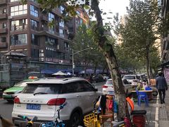 -青石桥花鸟鱼虫市场(叠翠城店)