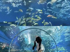 -海合安武汉极地海洋公园